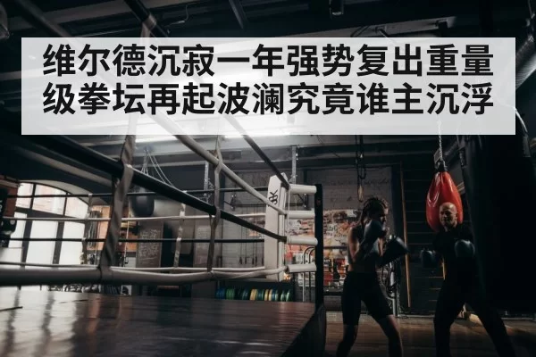 维尔德沉寂一年强势复出重量级拳坛再起波澜究竟谁主沉浮