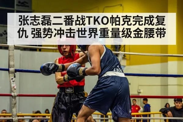 张志磊二番战TKO帕克完成复仇 强势冲击世界重量级金腰带