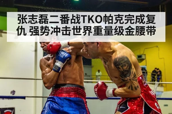 boxer knockout punch