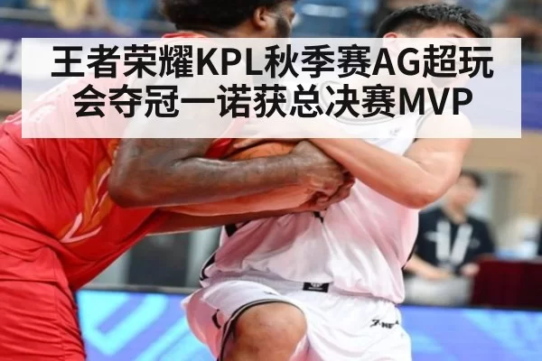 王者荣耀KPL秋季赛AG超玩会夺冠一诺获总决赛MVP